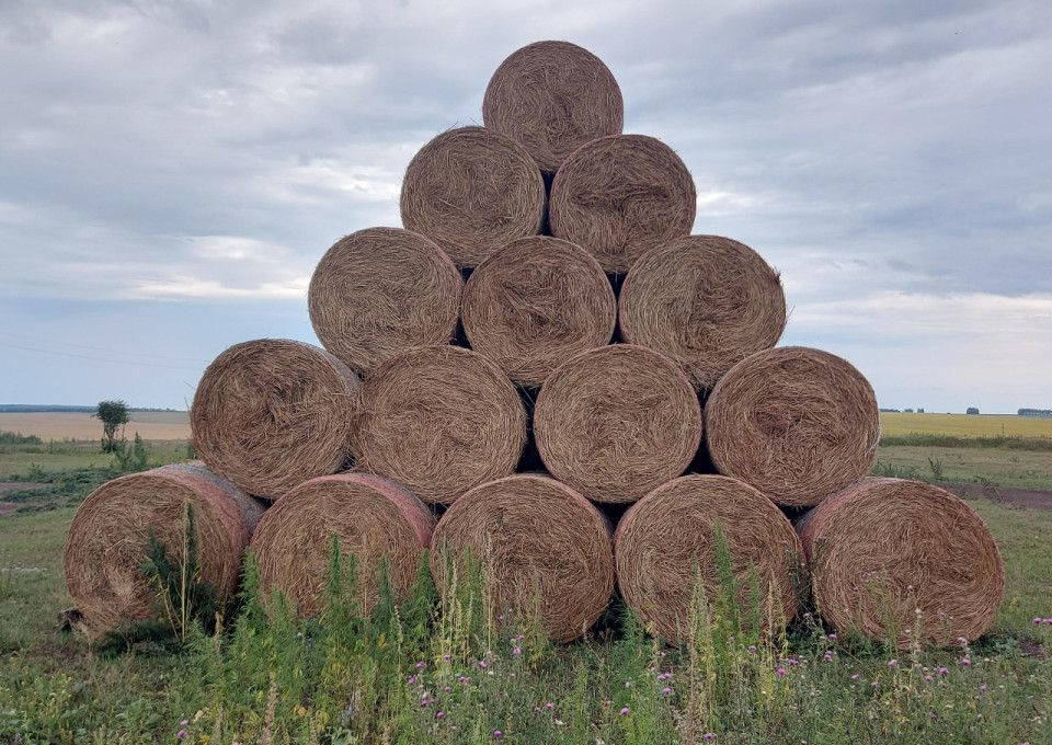 Новый Техника для сенозаготовки Сетка сеновязальная для пресс-подборщика в сборе: фото 9