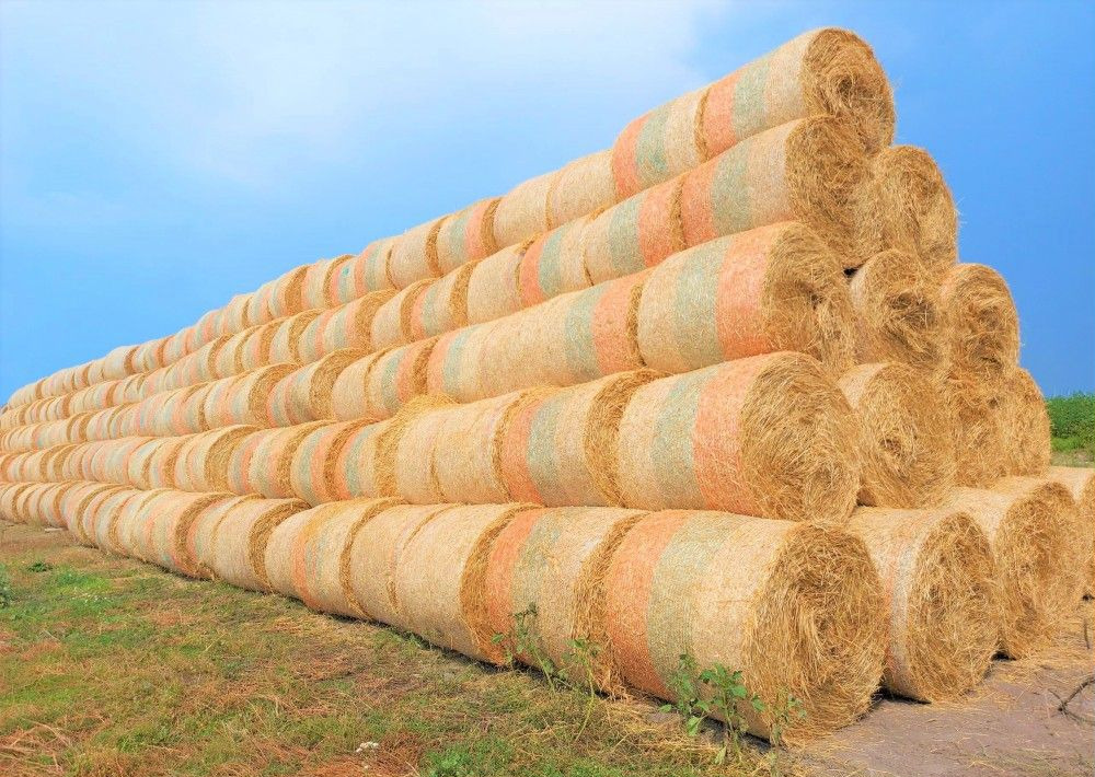 Сетка сеновязальная для пресс-подборщика в сборе - Техника для сенозаготовки: фото 1 Сетка сеновязальная для пресс-подборщика в сборе - Техника для сенозаготовки: фото 1