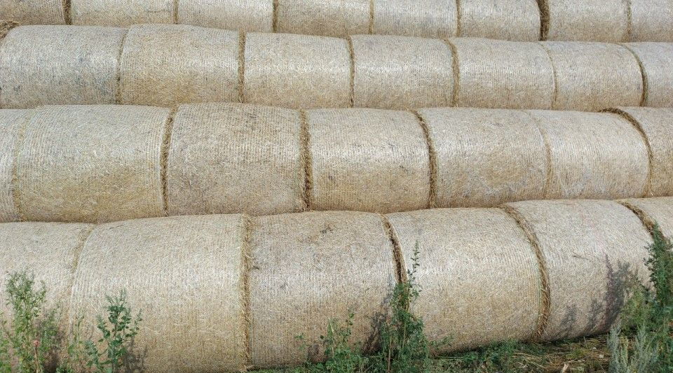 Сетка сеновязальная для пресс-подборщика в сборе - Техника для сенозаготовки: фото 4 Сетка сеновязальная для пресс-подборщика в сборе - Техника для сенозаготовки: фото 4