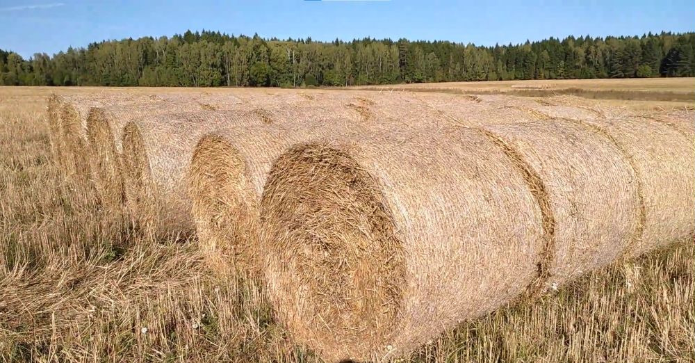 Новый Техника для сенозаготовки Сетка сеновязальная для пресс-подборщика в сборе: фото 10