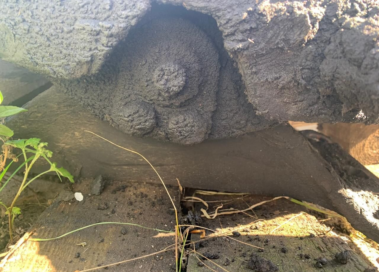 Седельно сцепное устройство - Седло для Грузовиков: фото 4 Седельно сцепное устройство - Седло для Грузовиков: фото 4