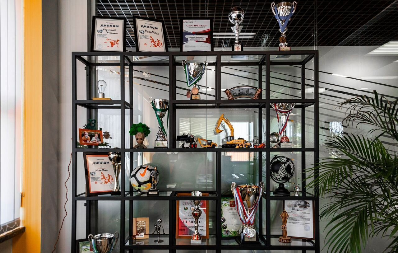 Новый Мини-погрузчик с бортовым поворотом Lonking CDM303: фото 30