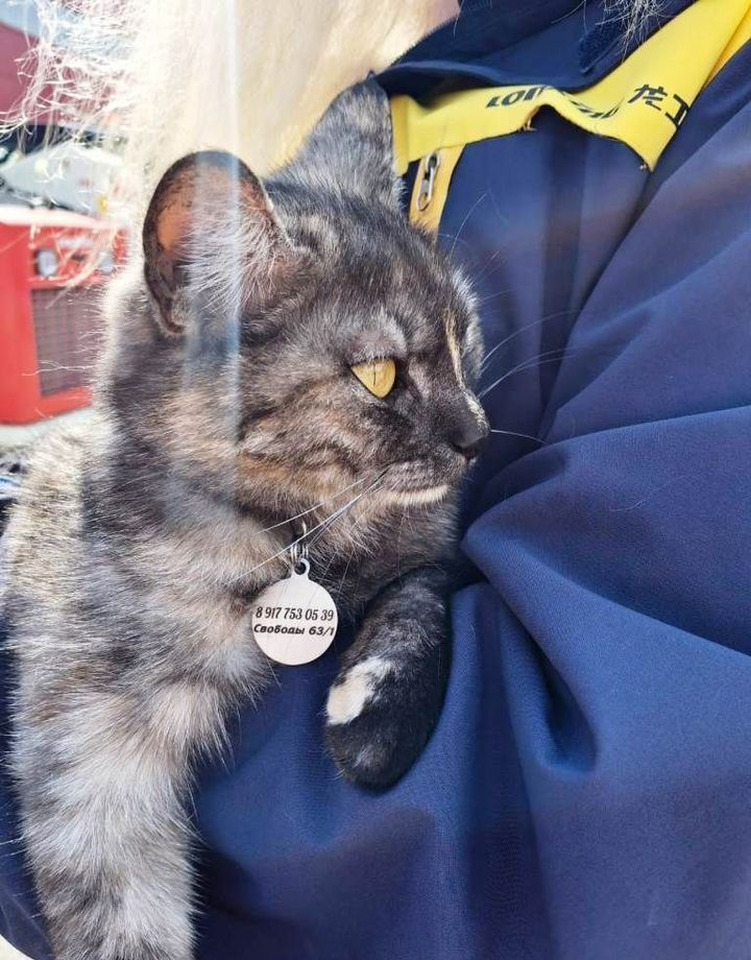 Новый Мини-погрузчик с бортовым поворотом Lonking CDM307: фото 14 Новый Мини-погрузчик с бортовым поворотом Lonking CDM307: фото 14