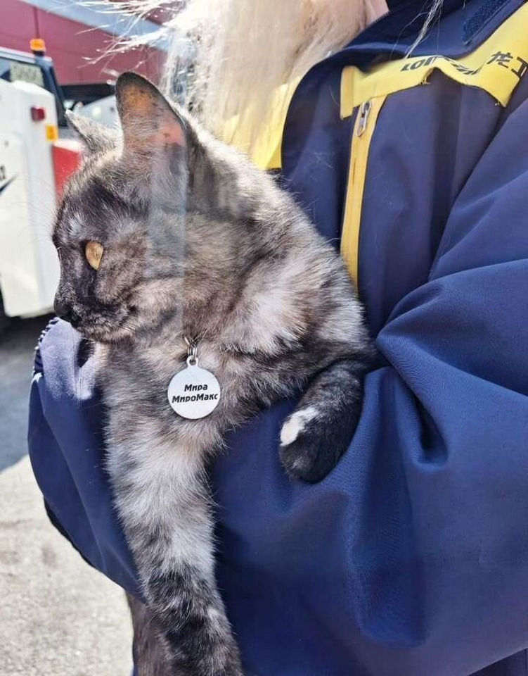 Новый Мини-погрузчик (с бортовым поворотом) Lonking CDM307: фото 38