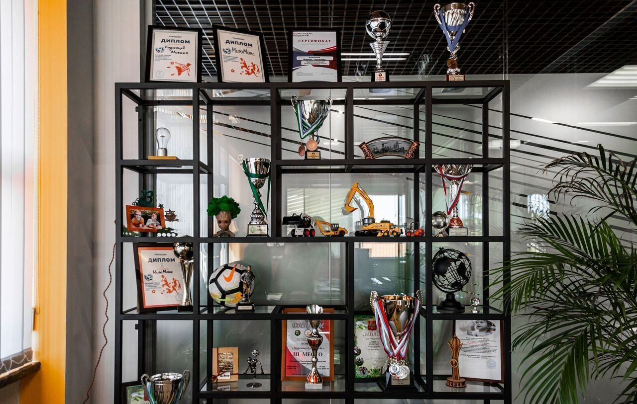 Новый Мини-погрузчик с бортовым поворотом Lonking CDM307: фото 27