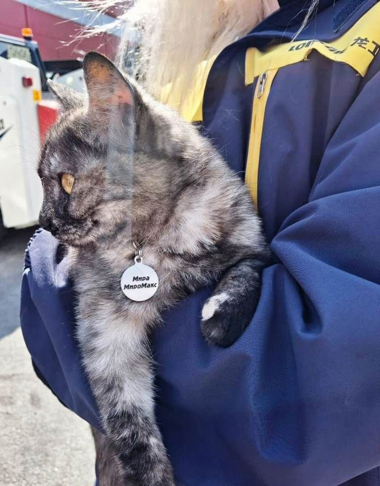 Новый Мини-погрузчик с бортовым поворотом Lonking CDM308: фото 33