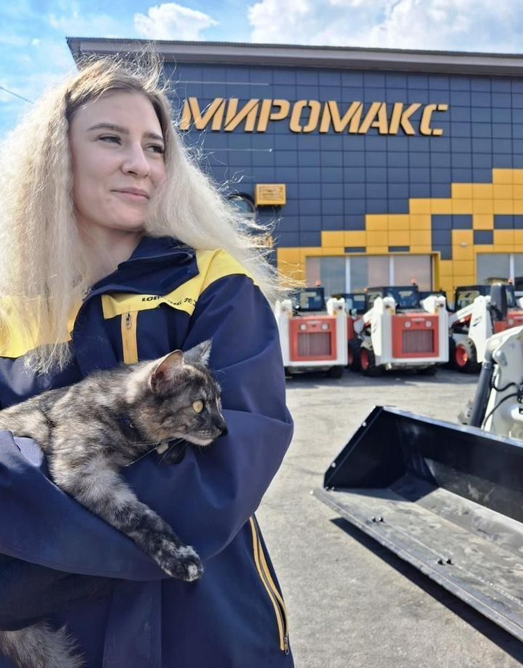 Новый Мини-погрузчик с бортовым поворотом Lonking CDM308: фото 14