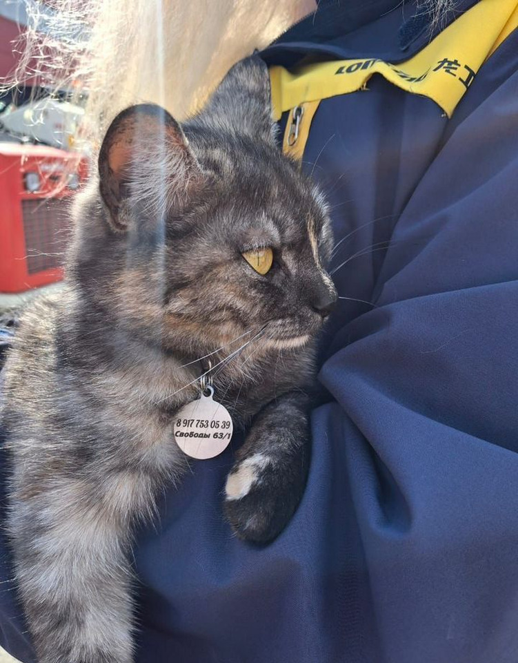 Новый Мини-погрузчик (с бортовым поворотом) Lonking CDM312: фото 12