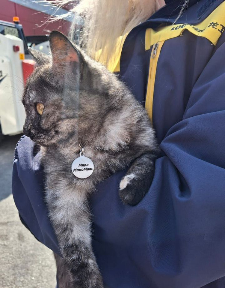 Новый Мини-погрузчик (с бортовым поворотом) Lonking CDM312: фото 13