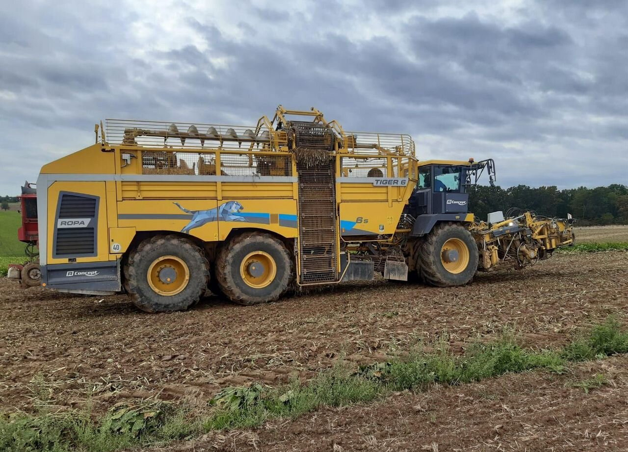Другая техника Ropa Maschinenbau Tiger 6s: фото 12