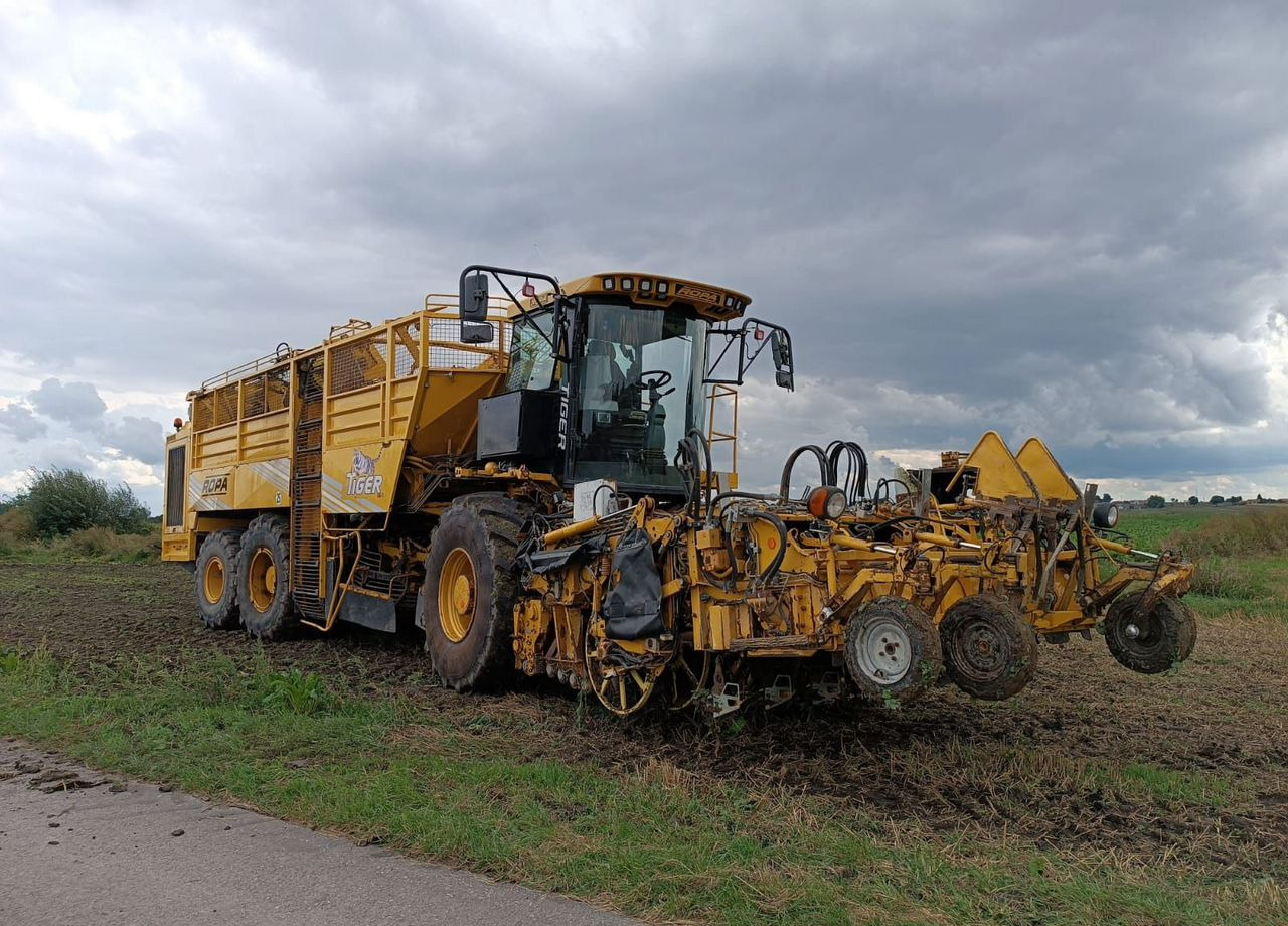 Свеклоуборочный комбайн Ropa Maschinenbau Euro-Tiger V8-4: фото 6