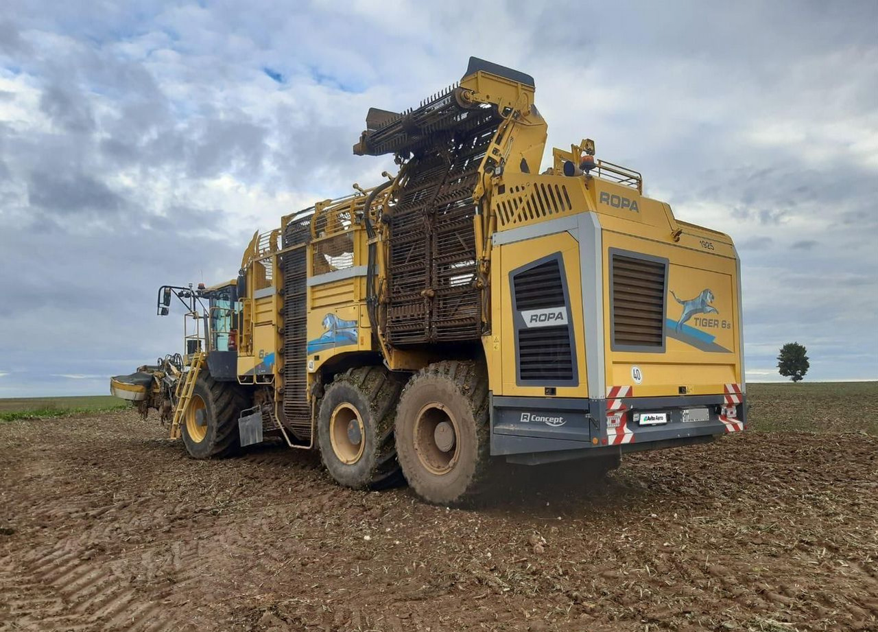 Ropa Maschinenbau Tiger 6s - Свеклоуборочный комбайн: фото 3 Ropa Maschinenbau Tiger 6s - Свеклоуборочный комбайн: фото 3