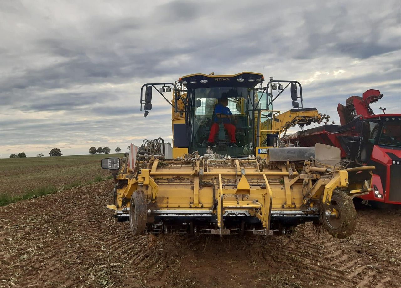 Свеклоуборочный комбайн Ropa Maschinenbau Tiger 6s: фото 6