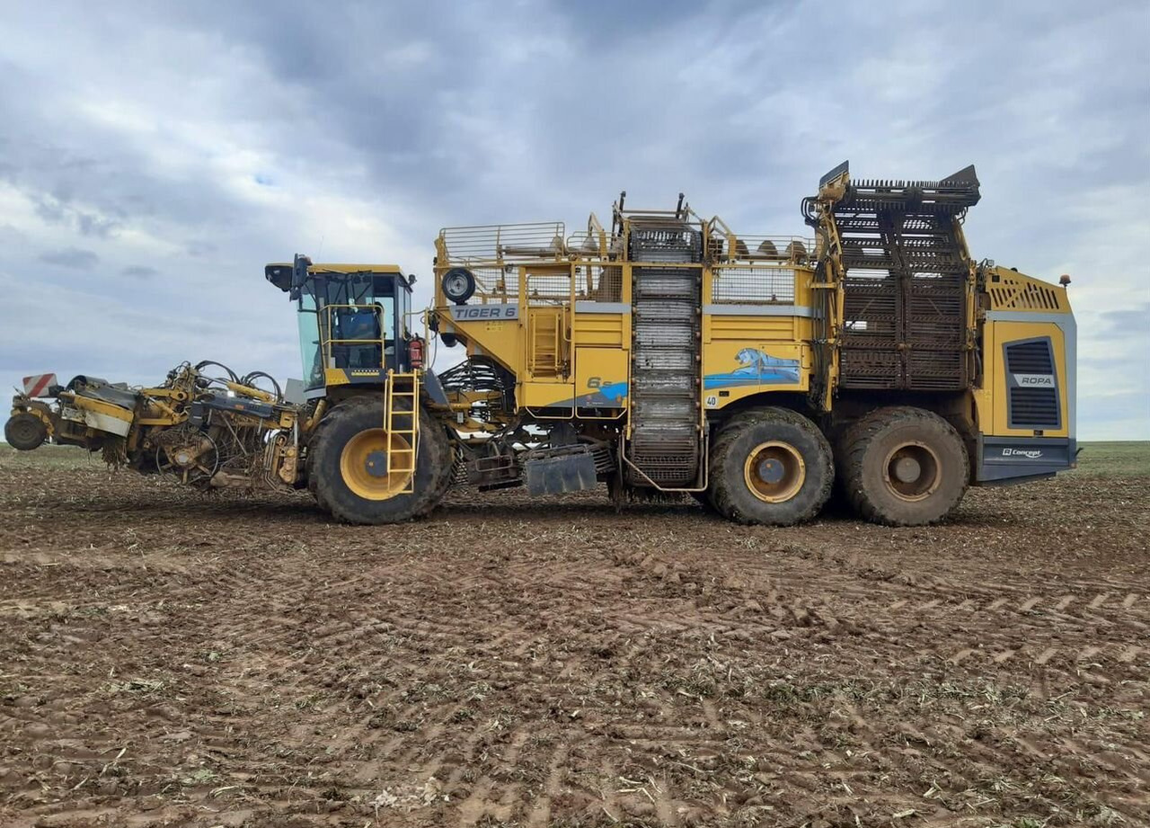 Ropa Maschinenbau Tiger 6s - Свеклоуборочный комбайн: фото 5 Ropa Maschinenbau Tiger 6s - Свеклоуборочный комбайн: фото 5