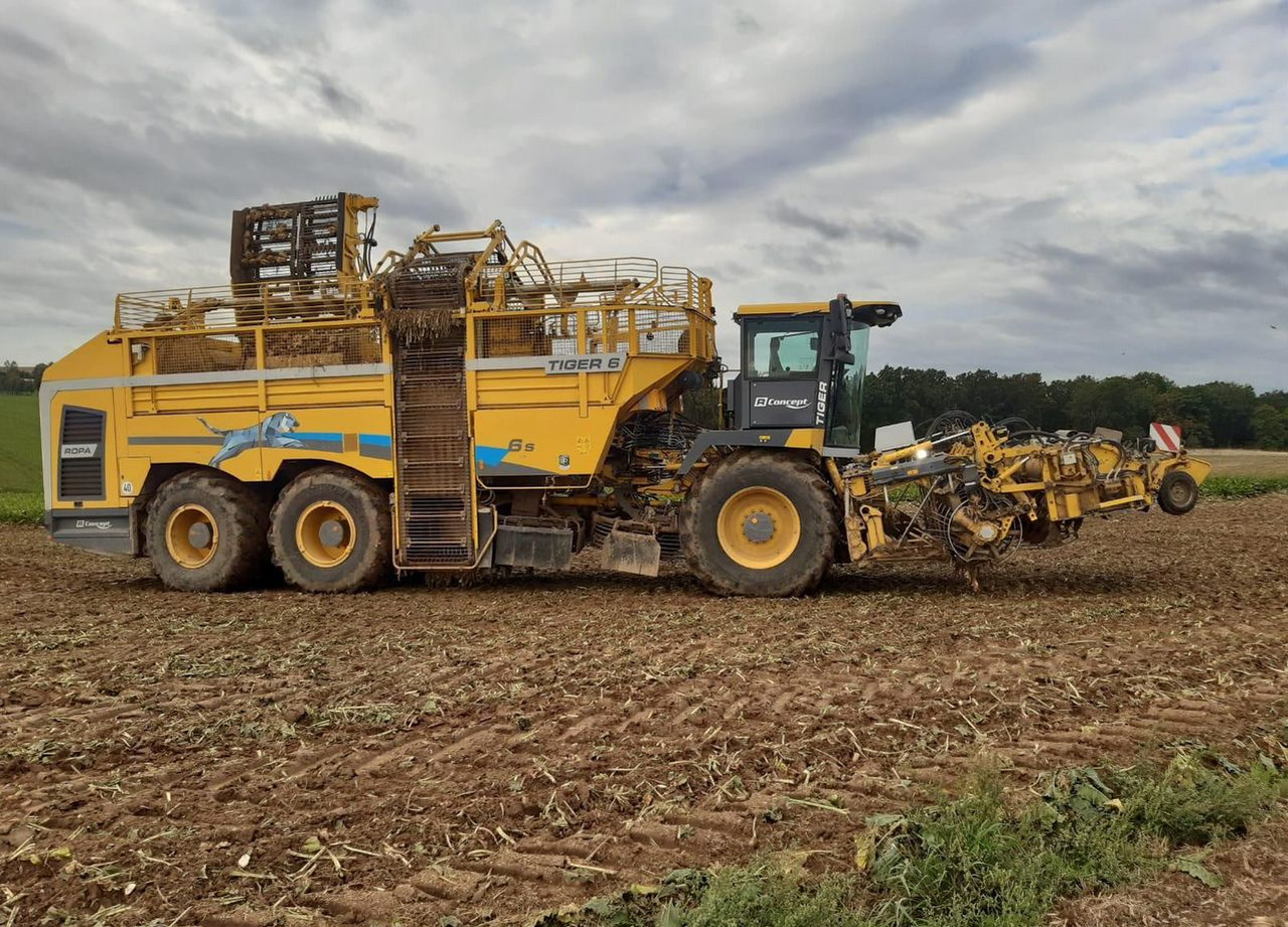 Свеклоуборочный комбайн Ropa Maschinenbau Tiger 6s: фото 11