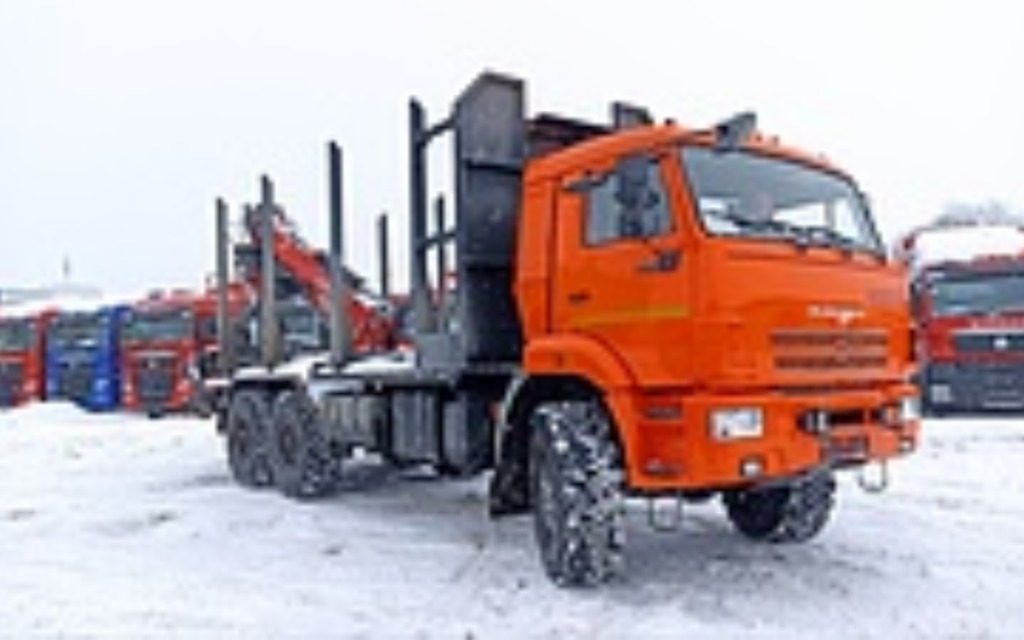 Лесовоз, сортиментовоз Лесовоз КАМАЗ 43118 6х6 с КМУ Велмаш-С 10-74 2025: фото 9