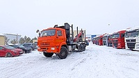 Лесовоз, сортиментовоз Лесовоз КАМАЗ 43118 6х6 с КМУ Велмаш-С 10-74 2025: фото 8
