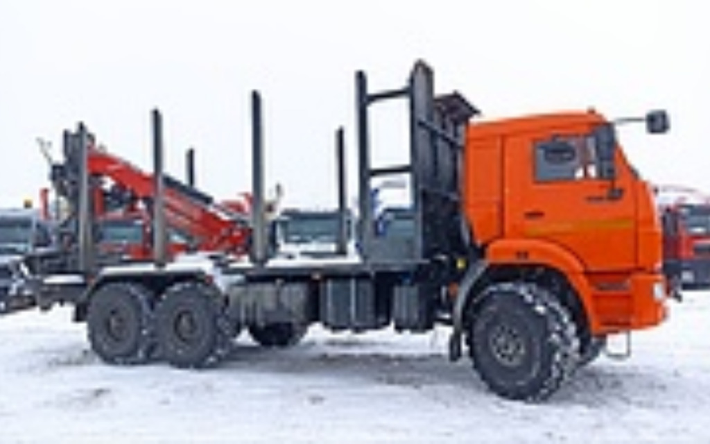 Лесовоз, сортиментовоз Лесовоз КАМАЗ 43118 6х6 с КМУ Велмаш-С 10-74 2025: фото 10