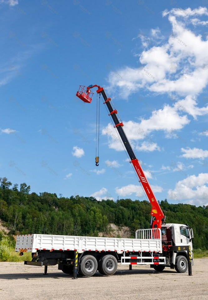 Новый Грузовик бортовой/ Платформа, Автоманипулятор Isuzu Giga (C-series): фото 14