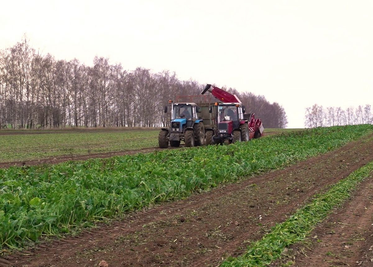 ГЗЛиН БЗ-3 - Сельскохозяйственный прицеп: фото 4 ГЗЛиН БЗ-3 - Сельскохозяйственный прицеп: фото 4