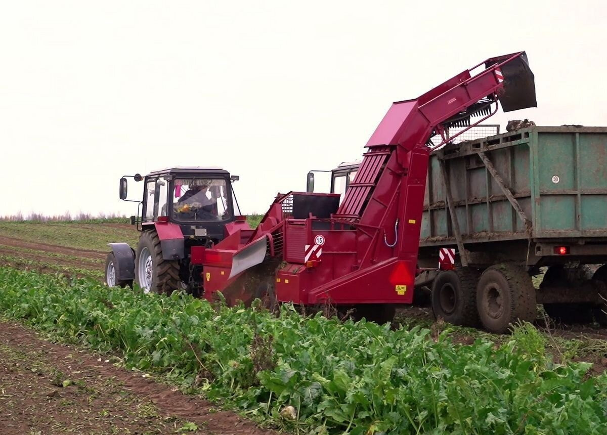 ГЗЛиН БЗ-3 - Сельскохозяйственный прицеп: фото 2 ГЗЛиН БЗ-3 - Сельскохозяйственный прицеп: фото 2