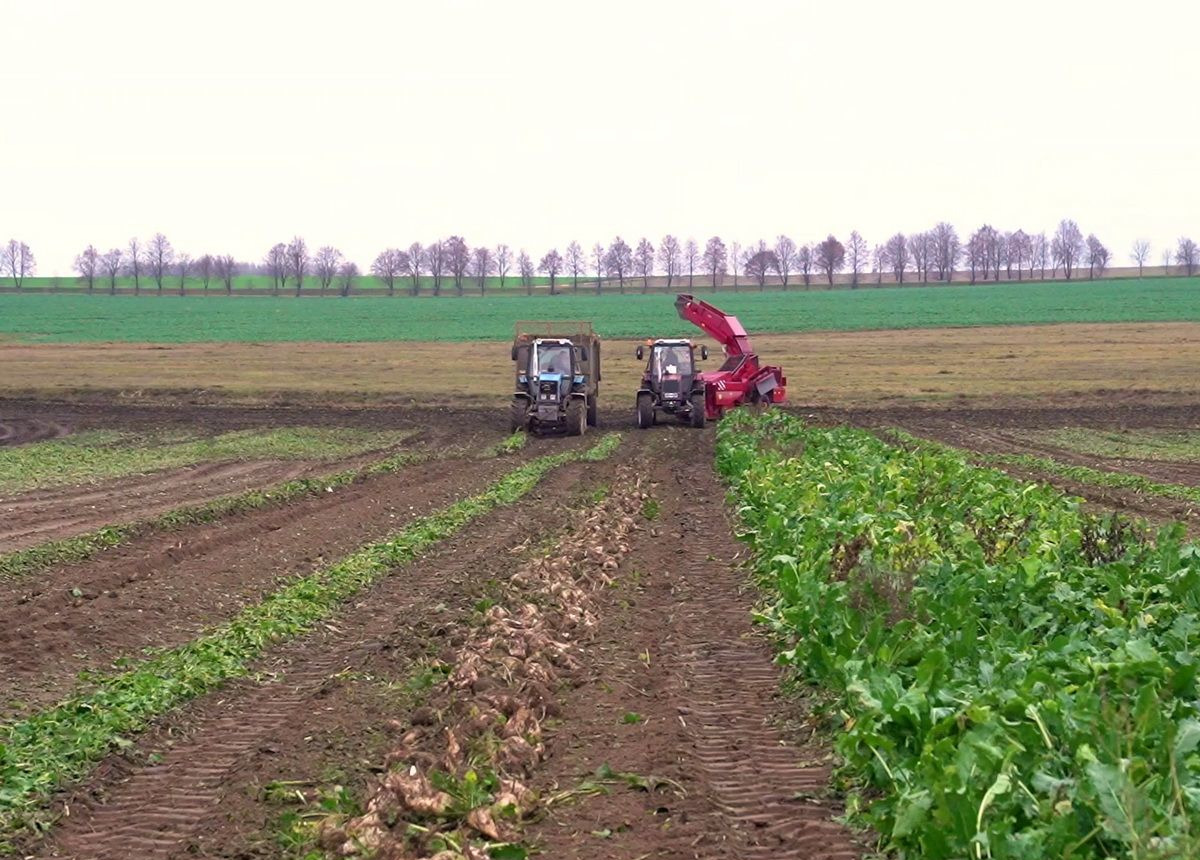 ГЗЛиН БЗ-3 - Сельскохозяйственный прицеп: фото 3 ГЗЛиН БЗ-3 - Сельскохозяйственный прицеп: фото 3