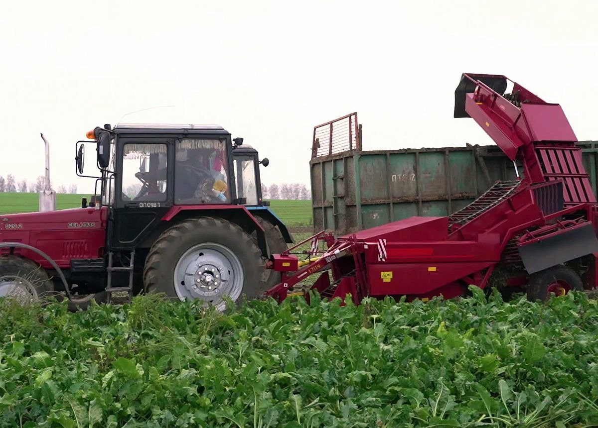 ГЗЛиН БЗ-3 - Сельскохозяйственный прицеп: фото 1 ГЗЛиН БЗ-3 - Сельскохозяйственный прицеп: фото 1
