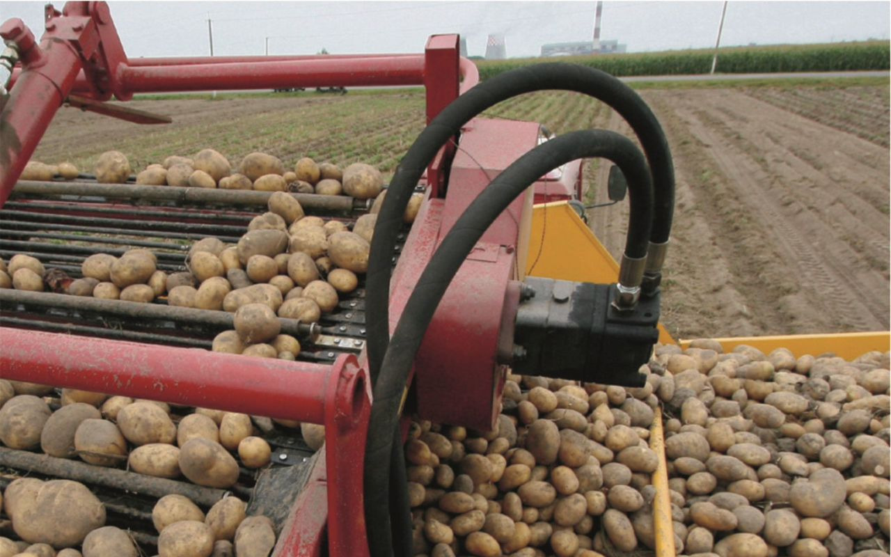 Гомельский завод литья и нормалей ПКК-2-05 - Картофелеуборочный комбайн: фото 2 Гомельский завод литья и нормалей ПКК-2-05 - Картофелеуборочный комбайн: фото 2