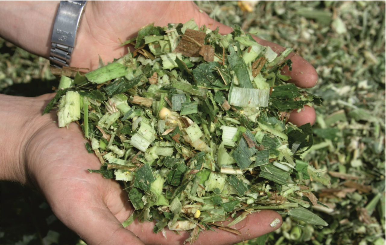 Гомсельмаш КДП-3000 (Палессе FT40) - Прицепной кормоуборочный комбайн: фото 5 Гомсельмаш КДП-3000 (Палессе FT40) - Прицепной кормоуборочный комбайн: фото 5