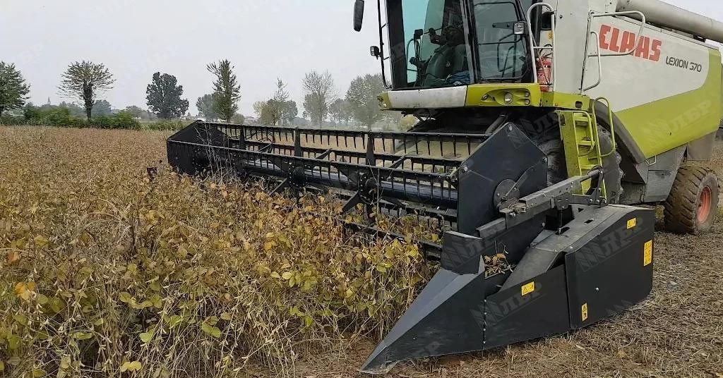 Dominoni TF950 - Жатка зерновая: фото 1 Dominoni TF950 - Жатка зерновая: фото 1