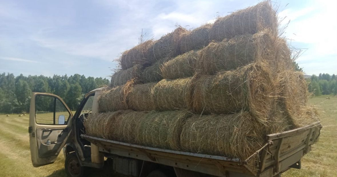 RXYK 0850 - Пресс-подборщик рулонный: фото 2 RXYK 0850 - Пресс-подборщик рулонный: фото 2