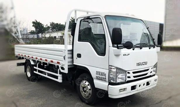 Isuzu Elf - Бортовой грузовик/ Платформа: фото 1 Isuzu Elf - Бортовой грузовик/ Платформа: фото 1