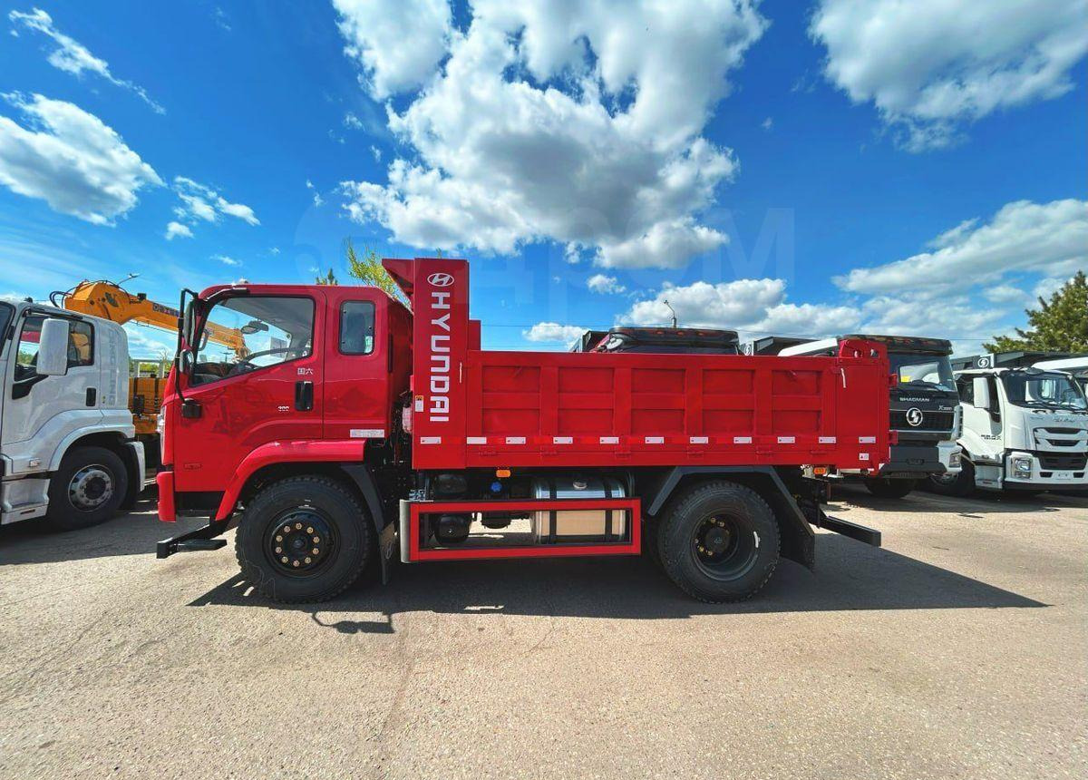 Новый Самосвал Hyundai Gold: фото 8