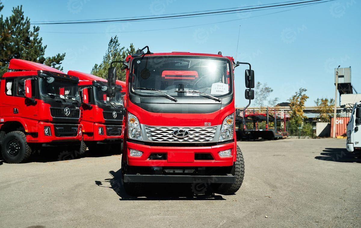 Новый Самосвал Hyundai Gold: фото 38