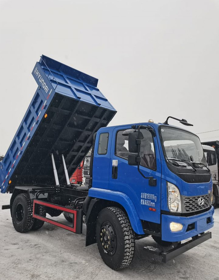 Новый Самосвал Hyundai Mighty EX9: фото 8