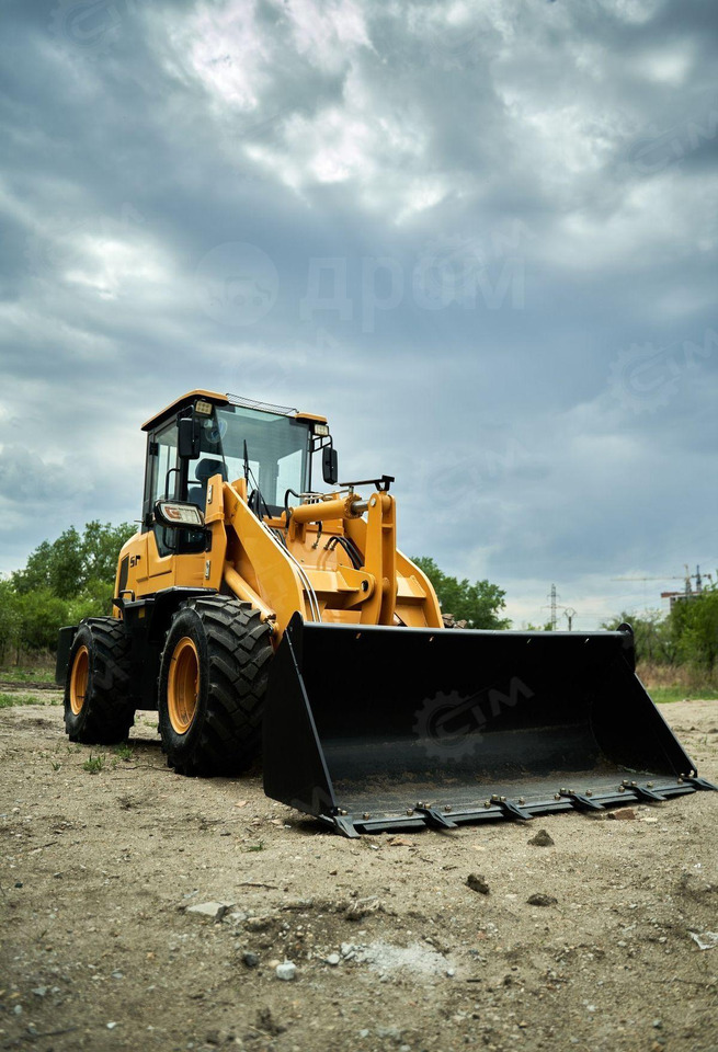 Yugong 930 - Колёсный погрузчик: фото 2 Yugong 930 - Колёсный погрузчик: фото 2