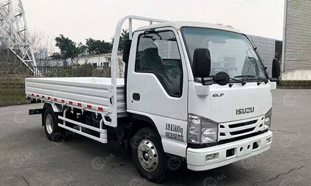 Грузовик бортовой/ Платформа Бортовой грузовик ISUZU 4x2 дв 96Kw гп 1т под категорию В, тент на кузов: фото 1