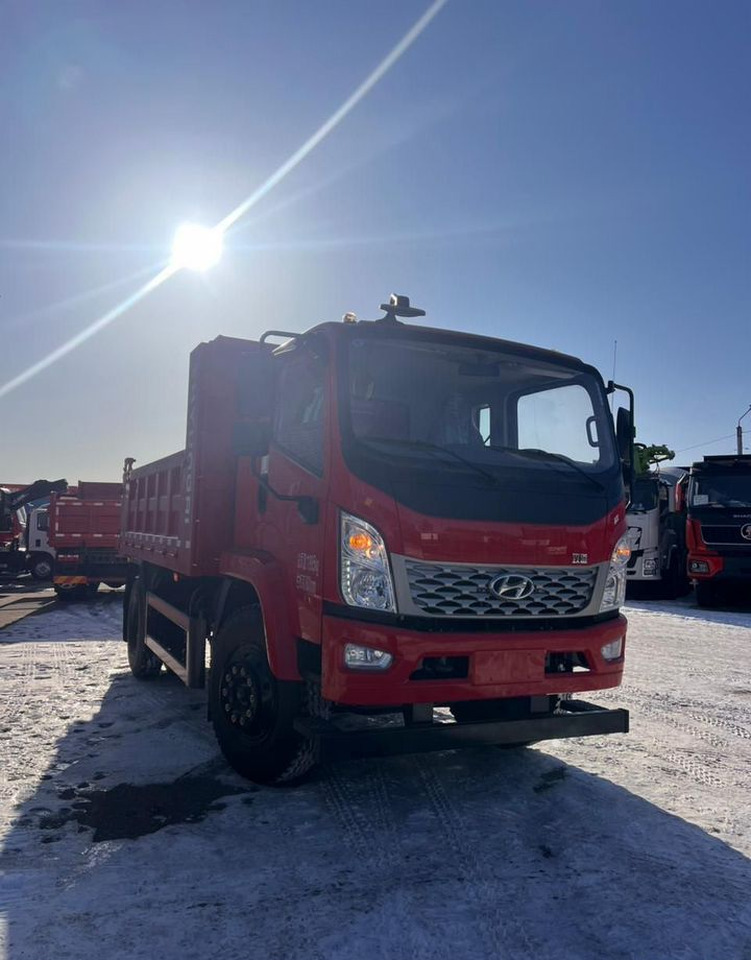 Новый Самосвал Hyundai Mighty EX9: фото 9