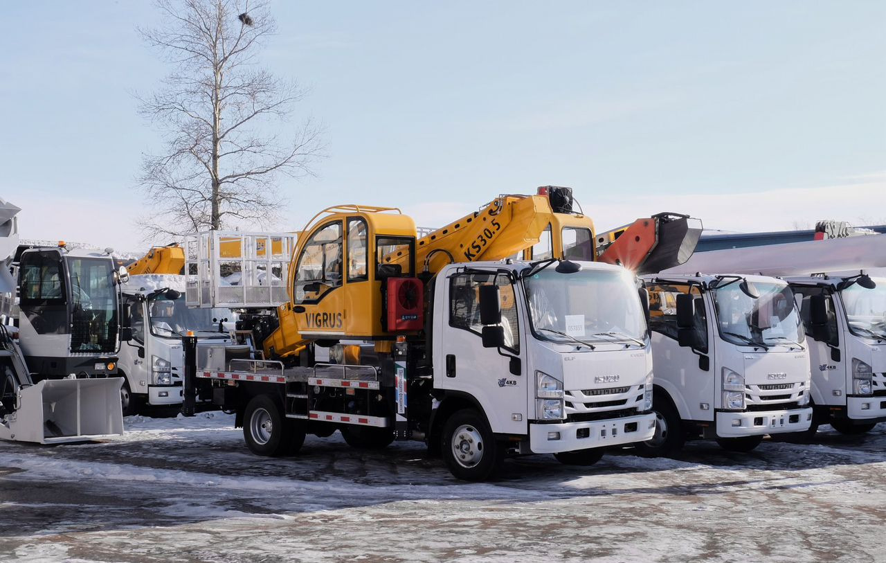 Isuzu Elf - Грузовик с подъемником: фото 2 Isuzu Elf - Грузовик с подъемником: фото 2