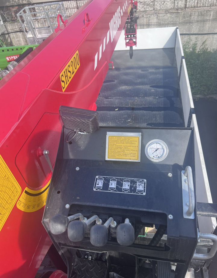 Новый Грузовик бортовой/ Платформа, Автоманипулятор Isuzu Giga (C-series): фото 6