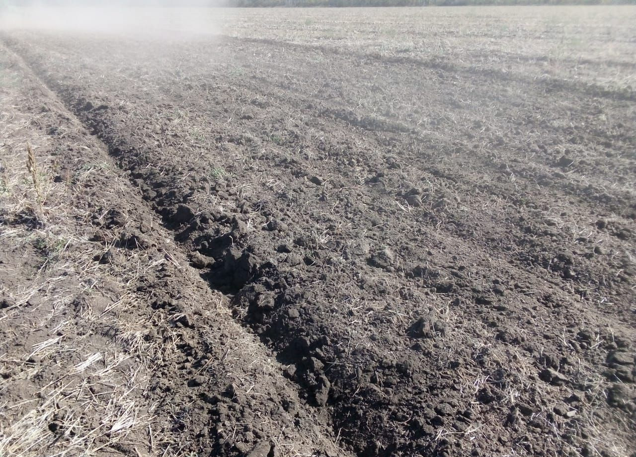 Дисковая борона БДТ-Агро БДМ 5х2: фото 19