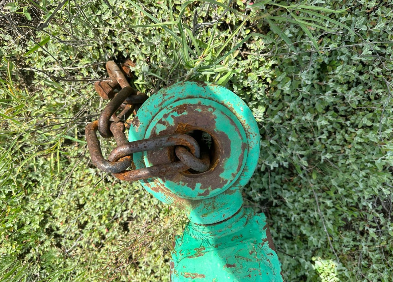 Борона Борона кольцевая-12.8 "Новый Сад": фото 9