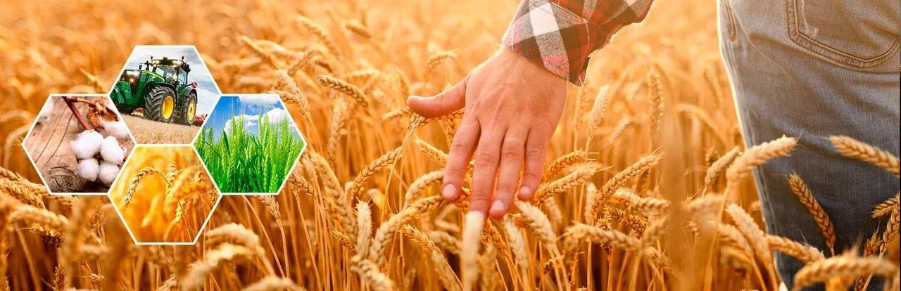 Готовый бизнес: апк 3600 Га - Другая техника: фото 1 Готовый бизнес: апк 3600 Га - Другая техника: фото 1