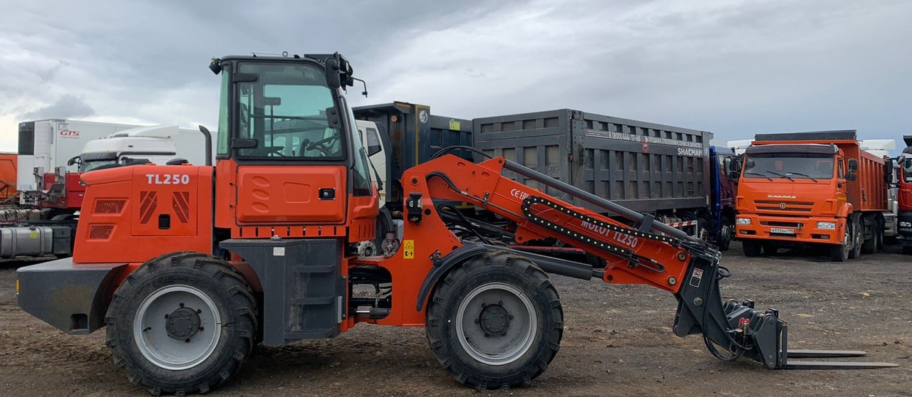 Фронтальный погрузчик MOLOT TL250 - Телескопический фронтальный погрузчик: фото 3 Фронтальный погрузчик MOLOT TL250 - Телескопический фронтальный погрузчик: фото 3