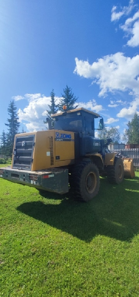 Колёсный погрузчик Фронтальный погрузчик XCMG LW300FN: фото 6 Колёсный погрузчик Фронтальный погрузчик XCMG LW300FN: фото 6