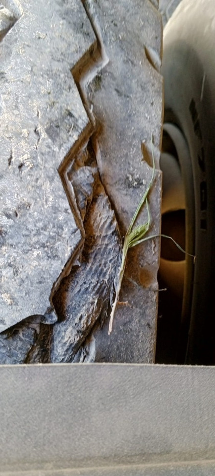 Грузовик Автомобиль КамАЗ 458901: фото 14