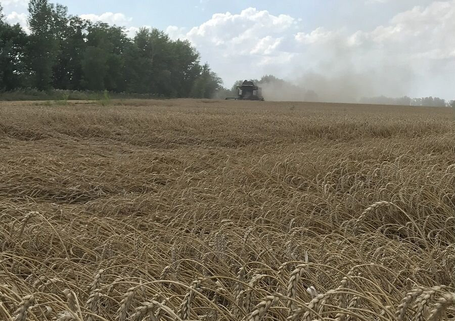 Сельскохозяйственное предприятие 2 407 Га - Сельскохозяйственная техника: фото 2 Сельскохозяйственное предприятие 2 407 Га - Сельскохозяйственная техника: фото 2