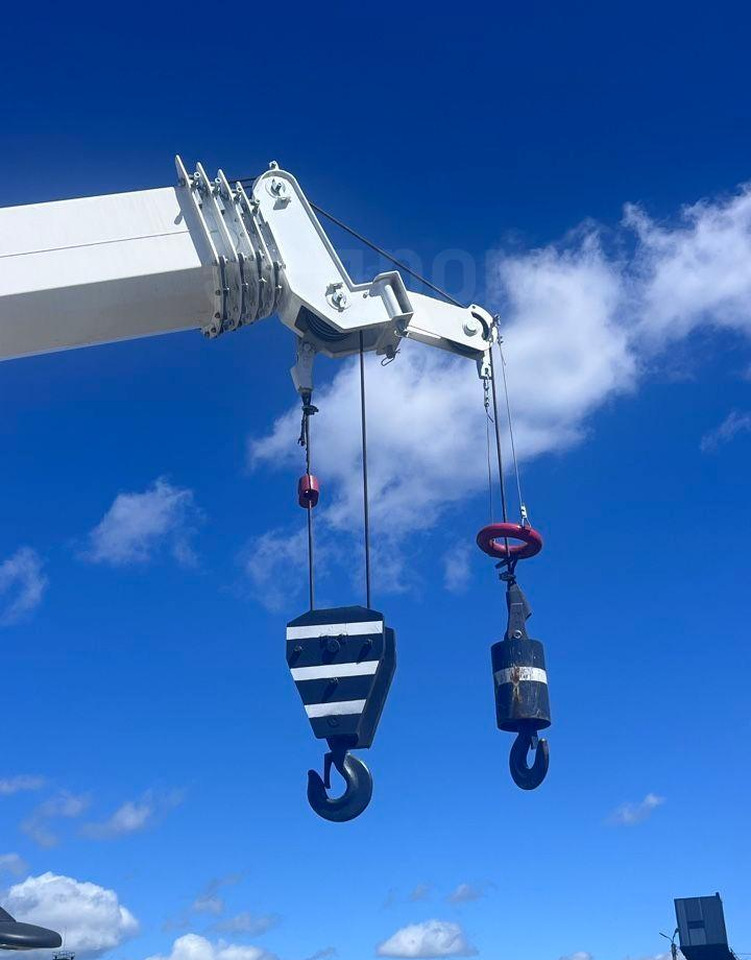 Новый Мобильный кран Isuzu Elf: фото 11