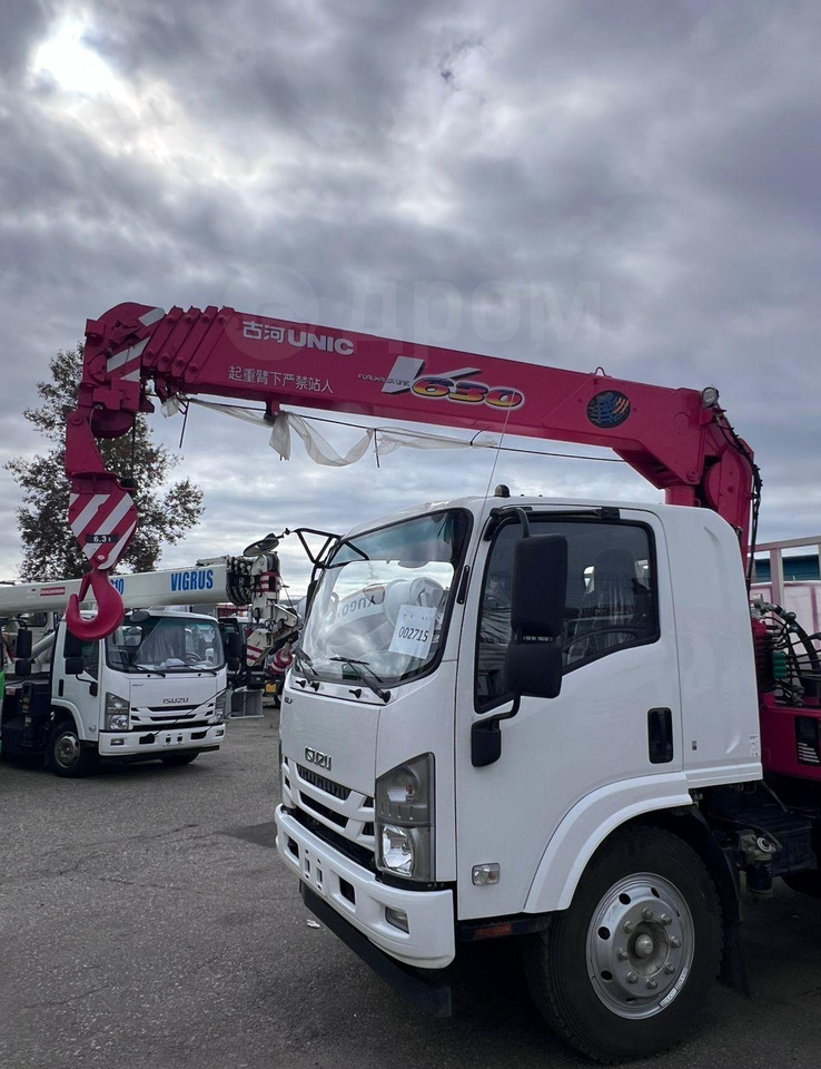 Новый Бортовой грузовик/ Платформа, Автоманипулятор Isuzu Elf: фото 6