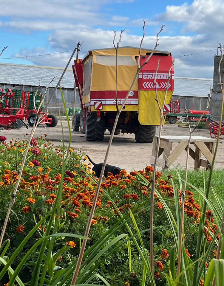 Картофелеуборочный комбайн Grimme SE 75/85-55: фото 6